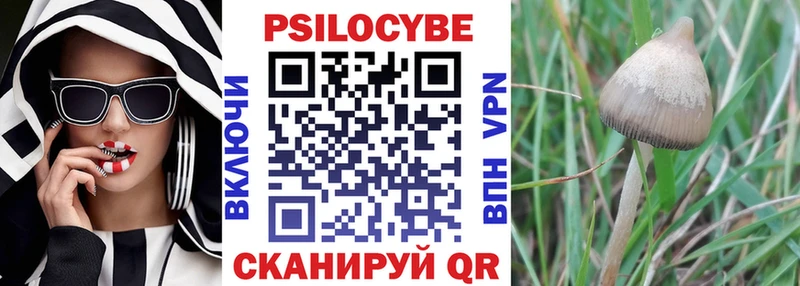 Галлюциногенные грибы мицелий  Чистополь 